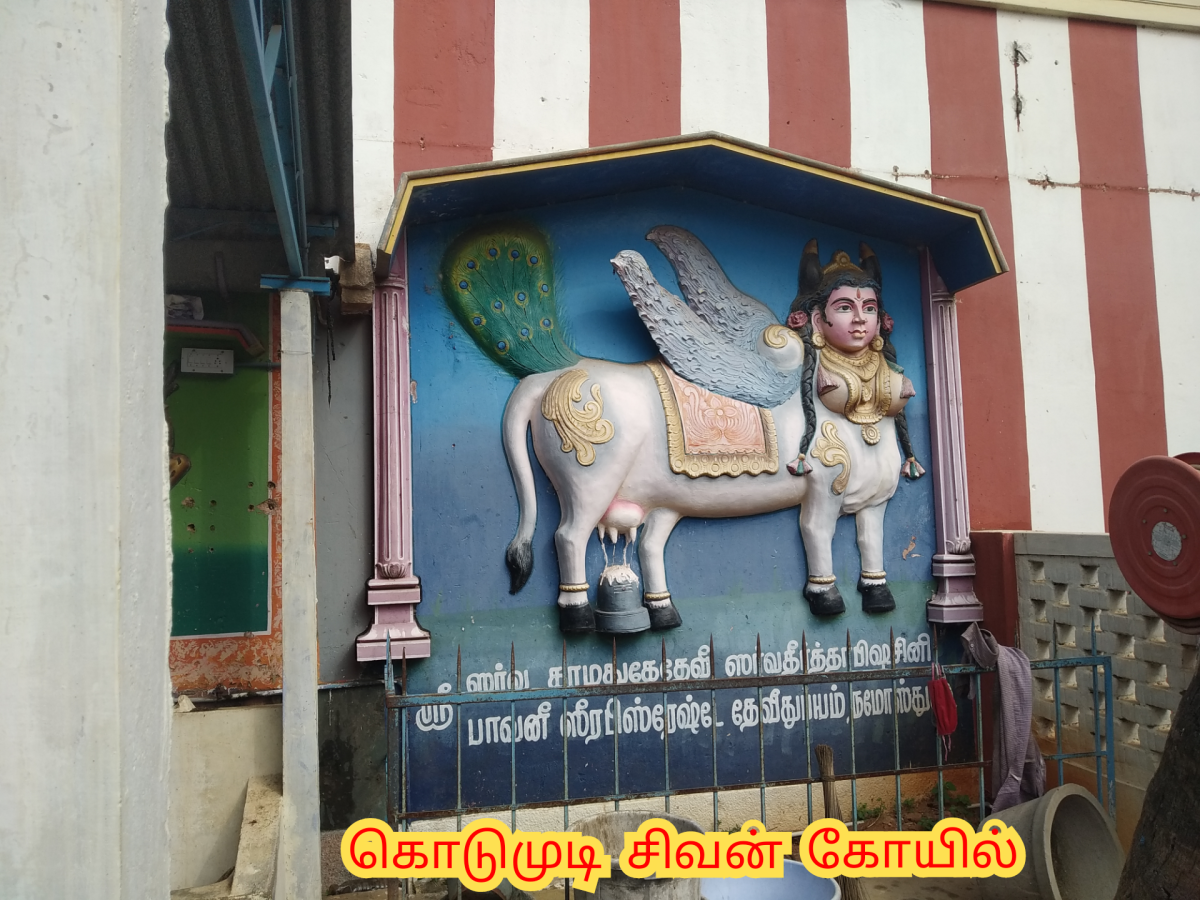 Kamadhenu God Pallar Mallar Shivan Isan Esan Murugan | காமதேனு பசு சிவன் ஈசன் முருகன் கடவுள்கள் பள்ளர் மள்ளர்