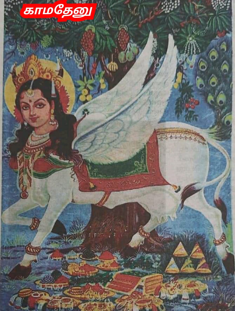 Kamadhenu God Pallar Mallar Shivan Isan Esan Murugan | காமதேனு பசு சிவன் ஈசன் முருகன் கடவுள்கள் பள்ளர் மள்ளர்