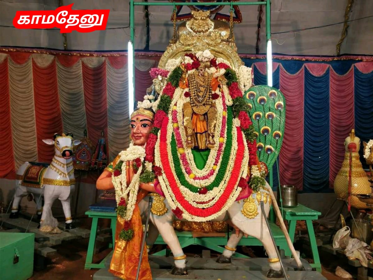 Kamadhenu God Pallar Mallar Shivan Isan Esan Murugan | காமதேனு பசு சிவன் ஈசன் முருகன் கடவுள்கள் பள்ளர் மள்ளர்