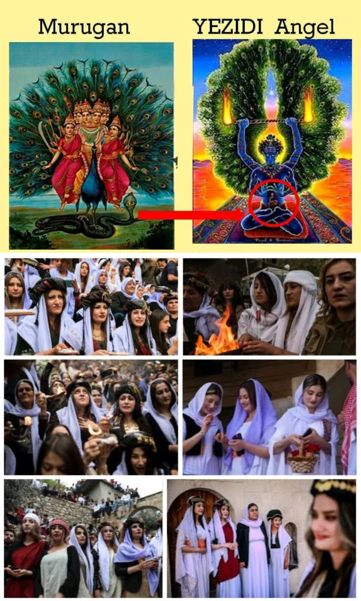 Yazidi Kurdistan Murugan God Pallar Mallar Iraq Iran | யாசிதி குர்திஸ்தான் முருகன் வழிபாடு பள்ளர் மள்ளர் ஈராக் ஈரான்