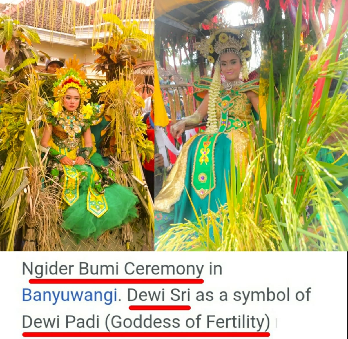 Indonesia Dewi God Pallar Mallar Agriculture God | இந்தோனேஷியா தேவி கடவுள் பள்ளர் மள்ளர் வேளாண்மை கடவுள் தேவி