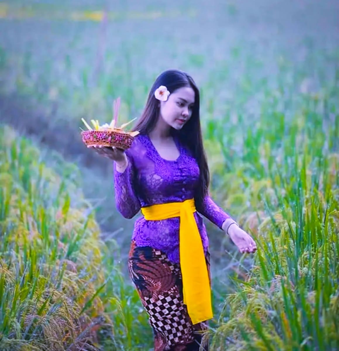 Indonesia Dewi God Pallar Mallar Agriculture God | இந்தோனேஷியா தேவி கடவுள் பள்ளர் மள்ளர் வேளாண்மை கடவுள் தேவி
