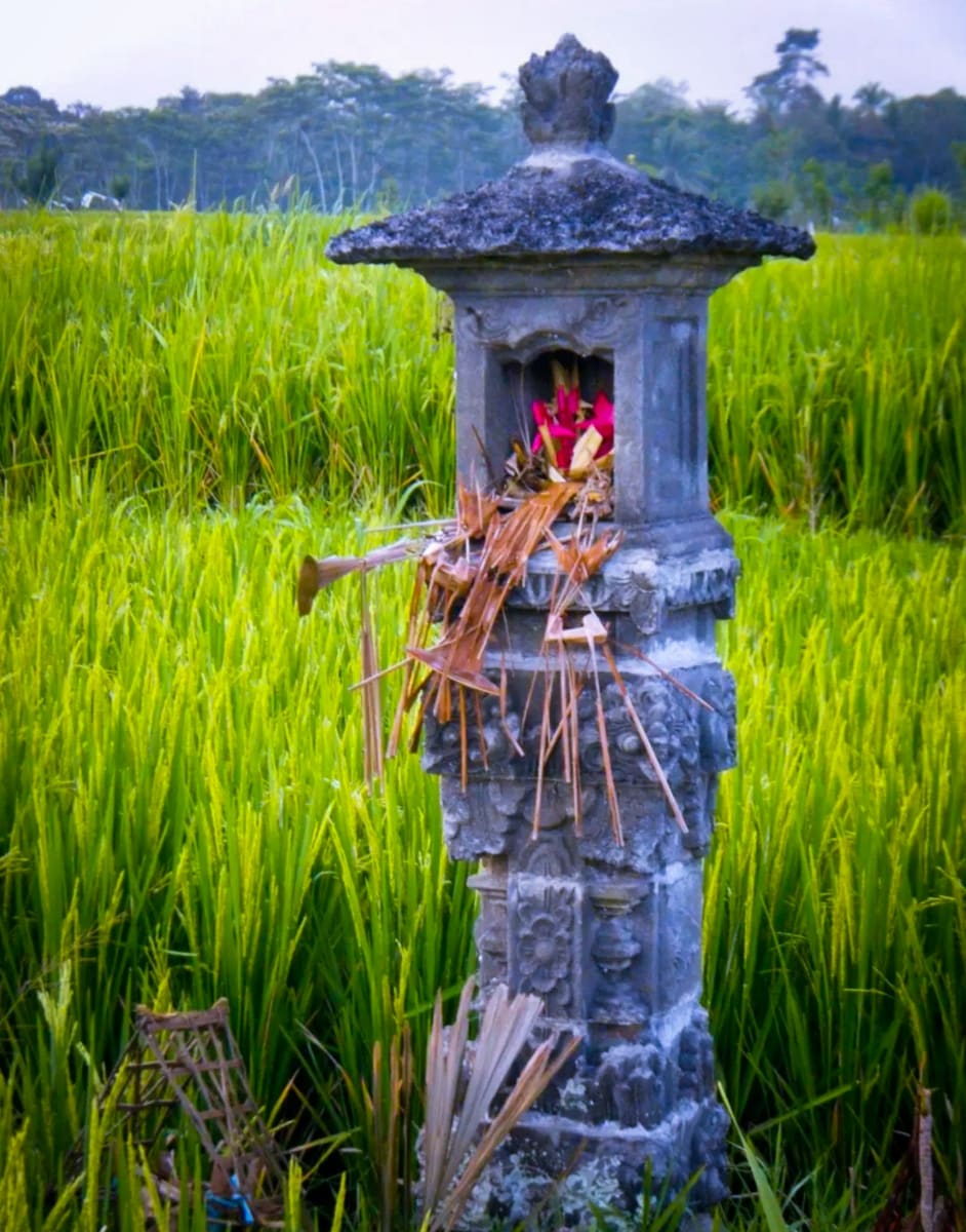 Indonesia Dewi God Pallar Mallar Agriculture God | இந்தோனேஷியா தேவி கடவுள் பள்ளர் மள்ளர் வேளாண்மை கடவுள் தேவி