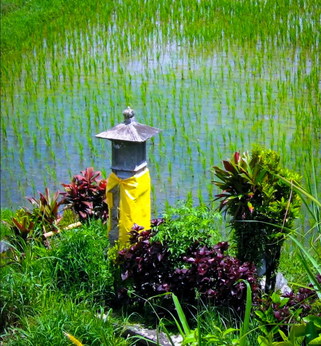 Indonesia Dewi God Pallar Mallar Agriculture God | இந்தோனேஷியா தேவி கடவுள் பள்ளர் மள்ளர் வேளாண்மை கடவுள் தேவி