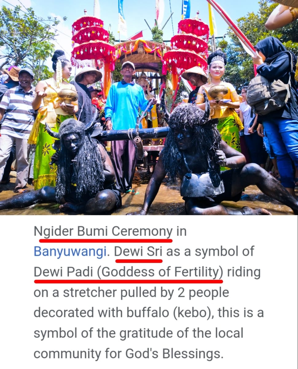 Indonesia Dewi God Pallar Mallar Agriculture God | இந்தோனேஷியா தேவி கடவுள் பள்ளர் மள்ளர் வேளாண்மை கடவுள் தேவி