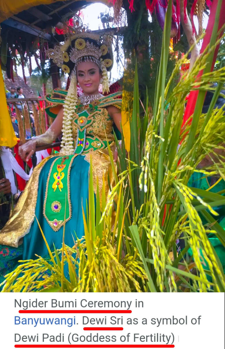 Indonesia Dewi God Pallar Mallar Agriculture God | இந்தோனேஷியா தேவி கடவுள் பள்ளர் மள்ளர் வேளாண்மை கடவுள் தேவி