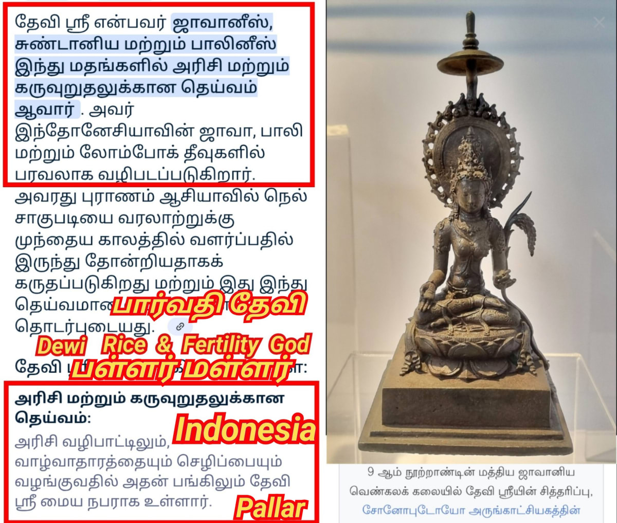 Indonesia Sikka Nattar Pallar Mallar | இந்தோனேஷியா சிக்க நாட்டார் பள்ளர் மள்ளர்