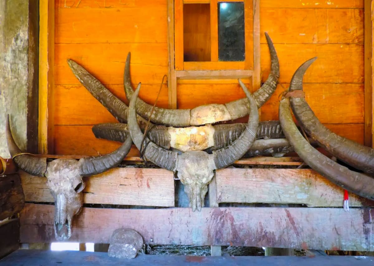 Indonesia Pallar Mallar Ancient Temple Architecture | இந்தோனேஷியா பள்ளர் மள்ளர் கட்டிய கோவில்கள்