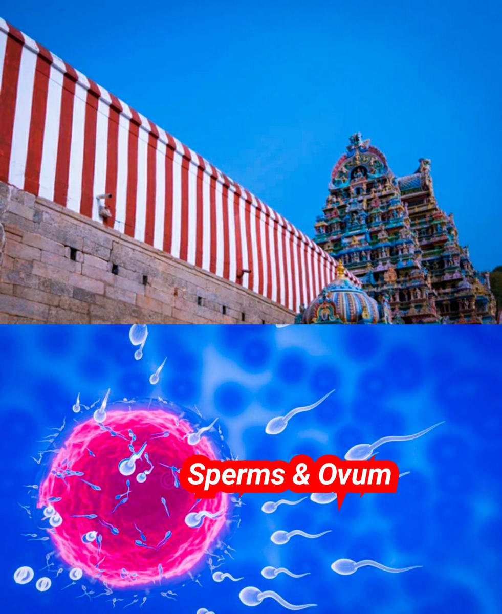 Japan Temple Pallar Mallar Phallus Harvest Festival | ஜப்பான் கோவில்கள் பள்ளர் மள்ளர் மற்றும் அறுவடை திருவிழா
