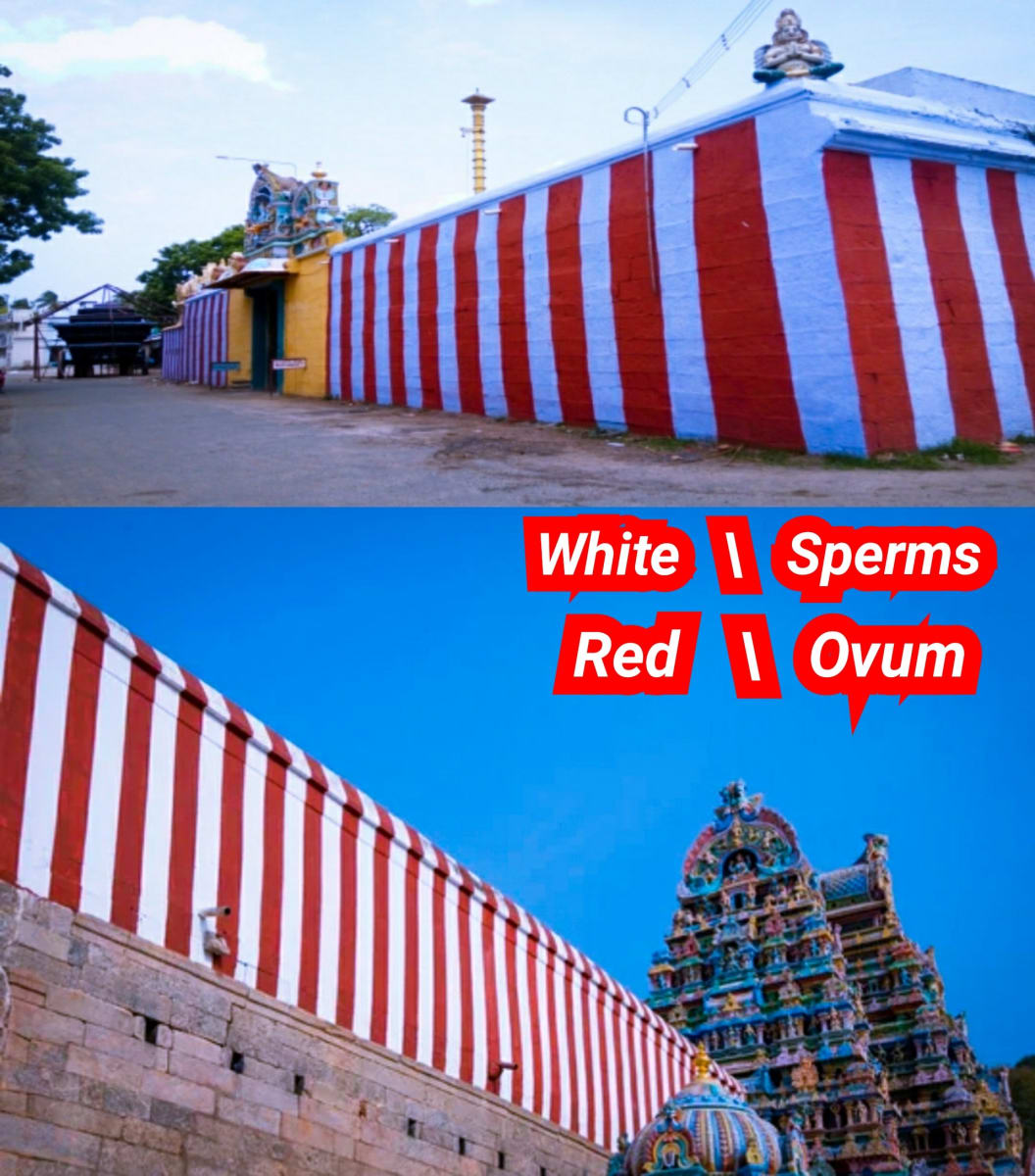 Japan Temple Pallar Mallar Phallus Harvest Festival | ஜப்பான் கோவில்கள் பள்ளர் மள்ளர் மற்றும் அறுவடை திருவிழா