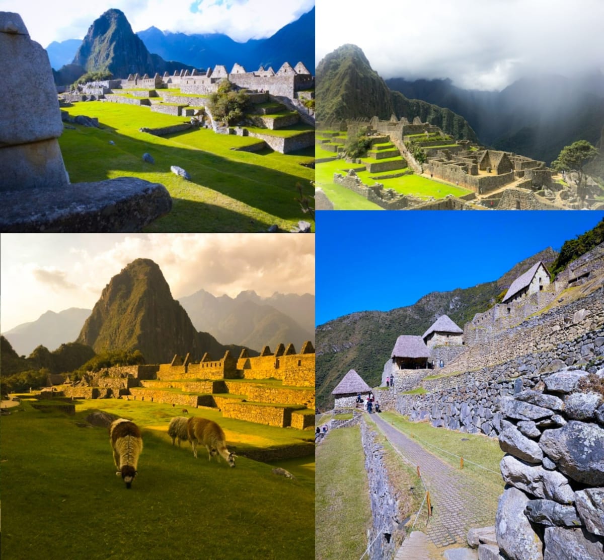 Machu Picchu Peru South America Pallar Mallar Ancient Tamil | மச்சு பிச்சு மலை பெரு நாடு தென் அமெரிக்கா பள்ளர் மள்ளர்