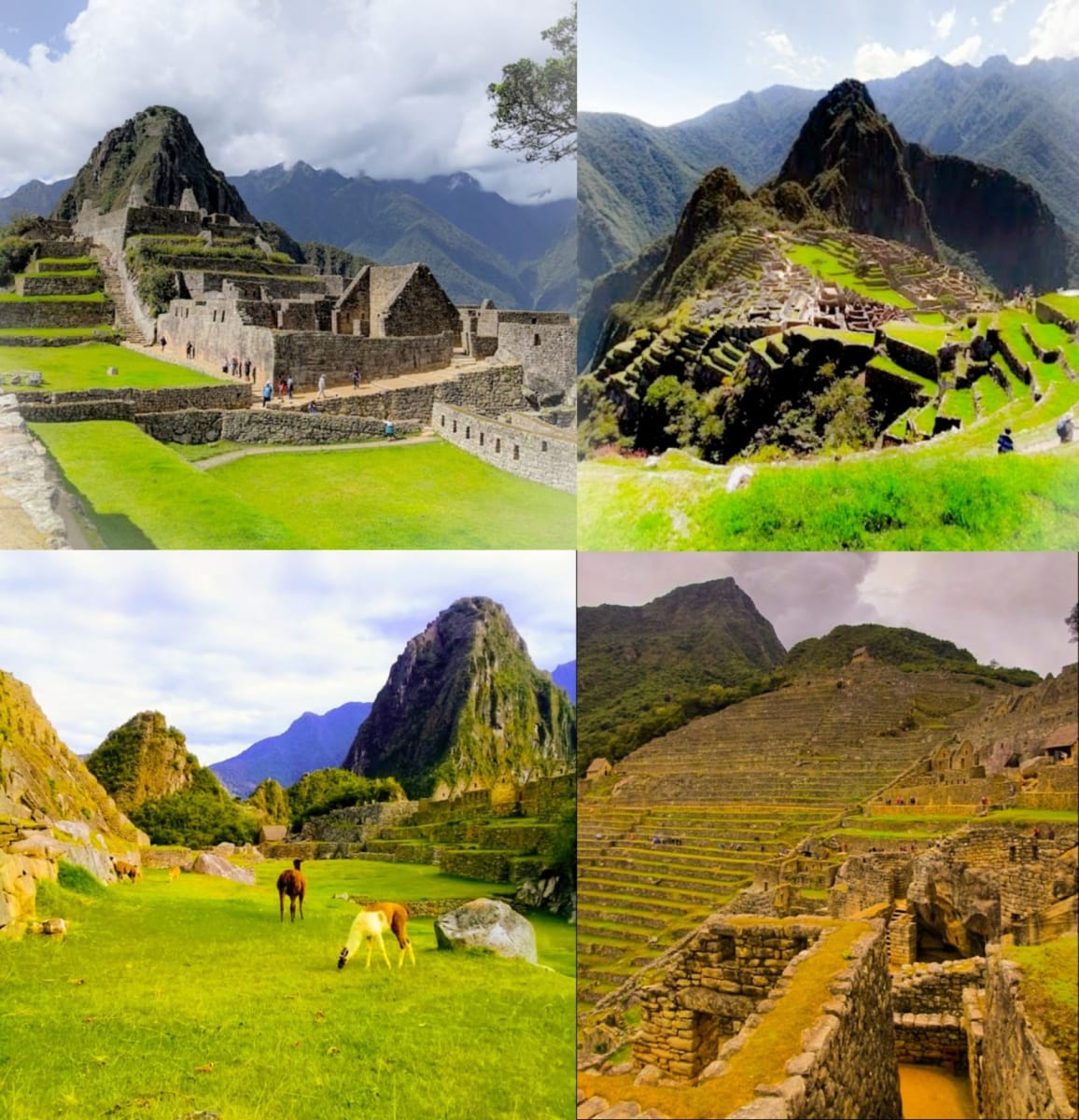 Machu Picchu Peru South America Pallar Mallar Ancient Tamil | மச்சு பிச்சு மலை பெரு நாடு தென் அமெரிக்கா பள்ளர் மள்ளர்