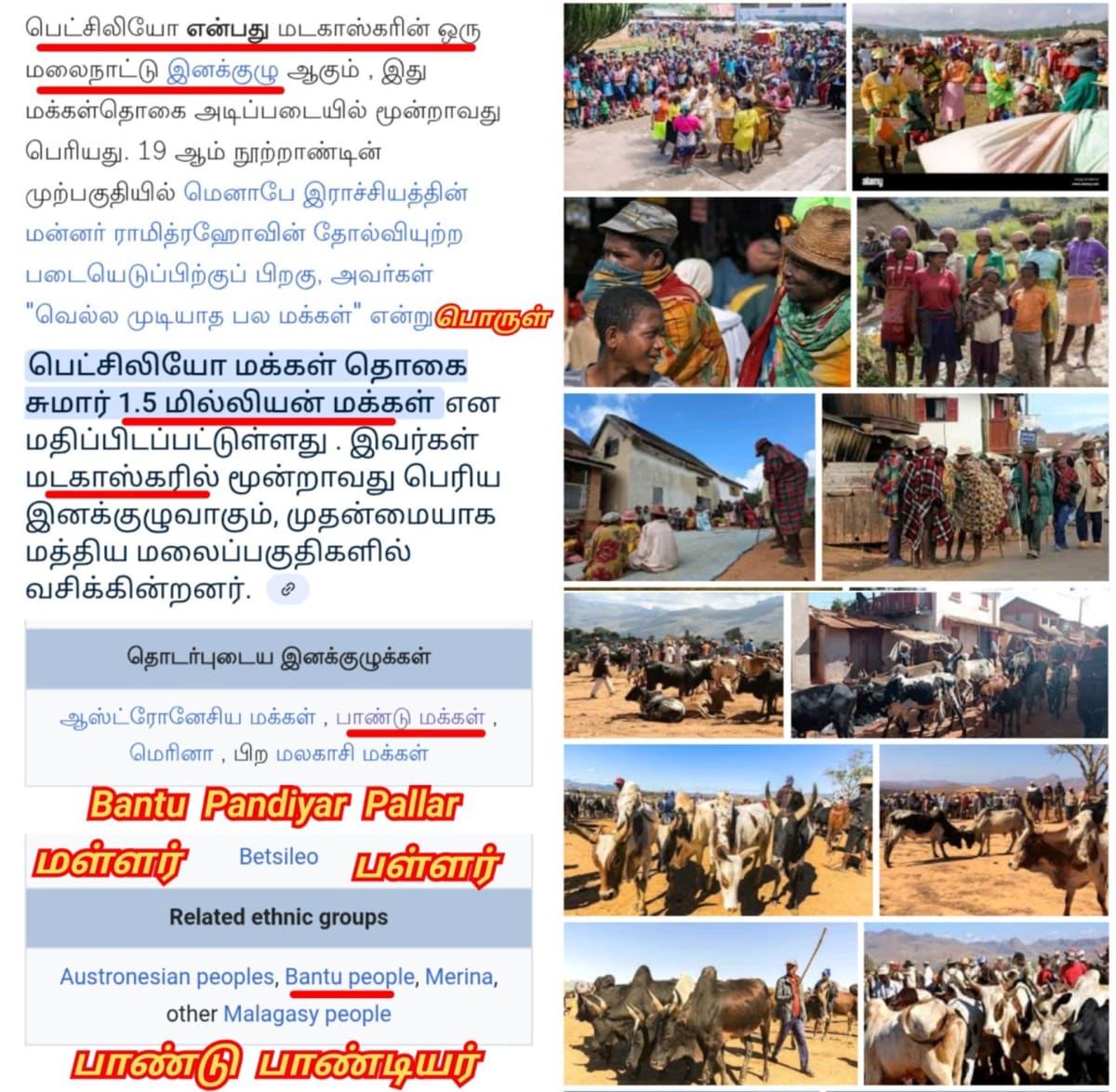 Africa Madagascar Pallar Mallar | மடகாஸ்கர் பள்ளர் மள்ளர் ஆப்பிரிக்க