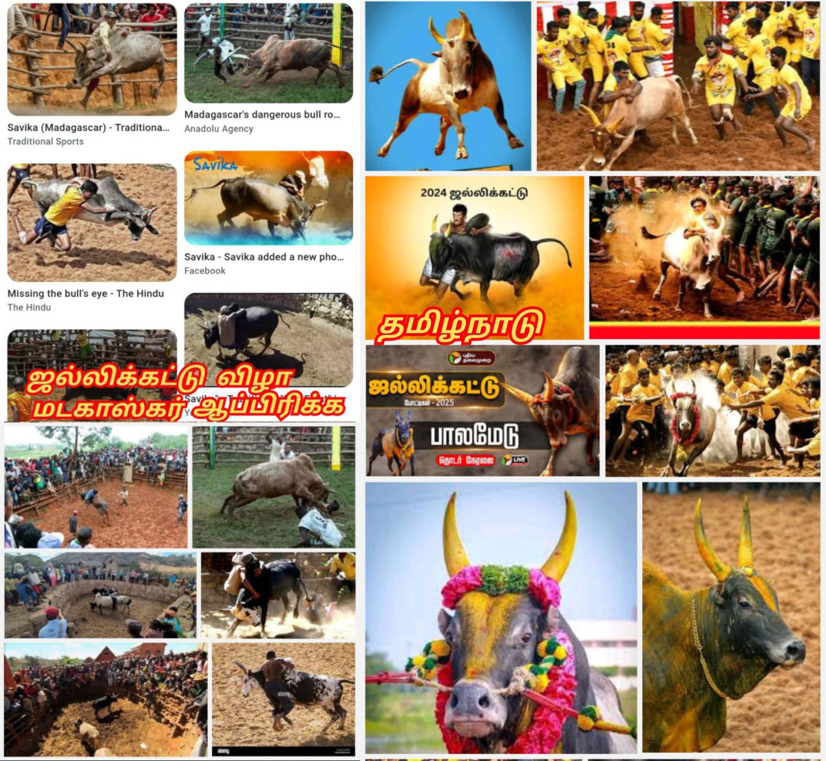Africa Madagascar Pallar Mallar | மடகாஸ்கர் பள்ளர் மள்ளர் ஆப்பிரிக்க