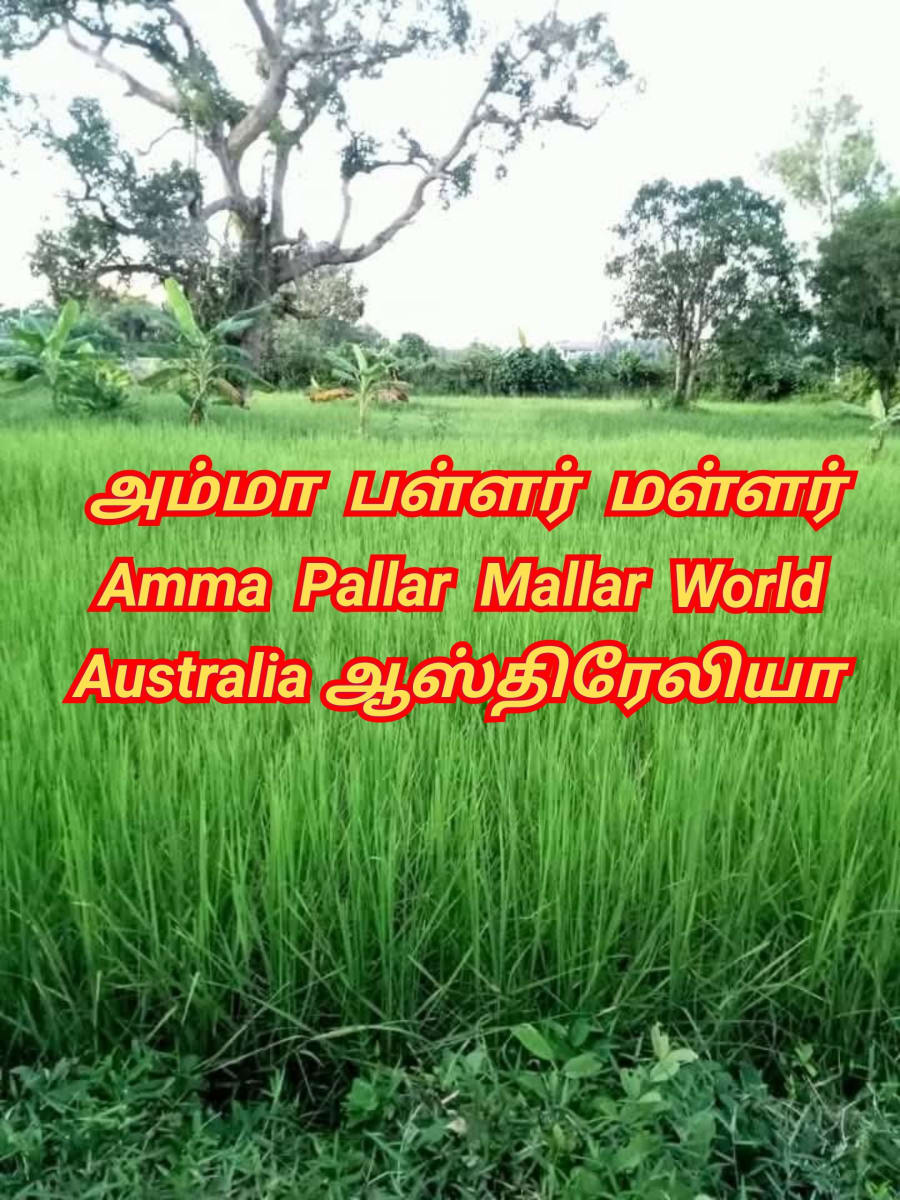Amma Pallar Mallar World | அம்மா பள்ளர் மள்ளர்
