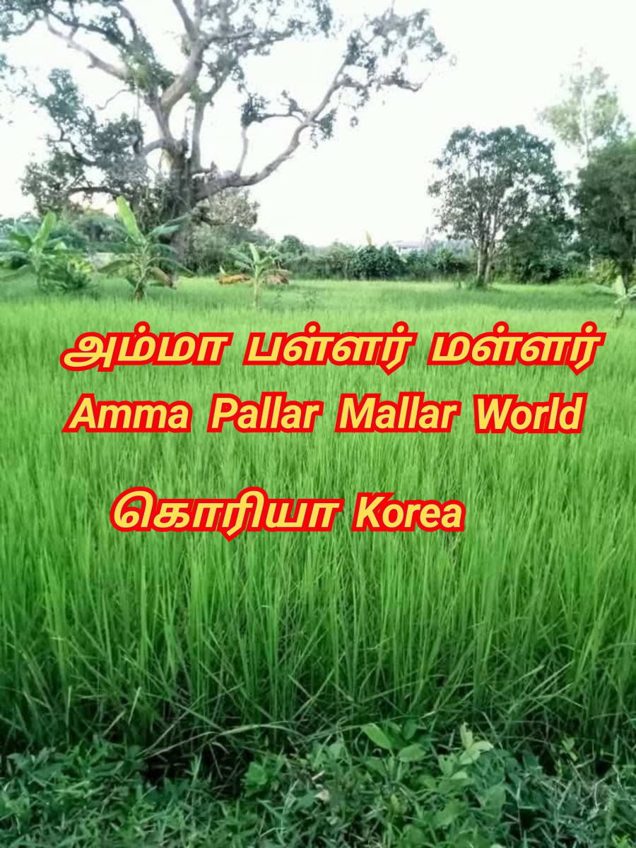 Amma Pallar Mallar World | அம்மா பள்ளர் மள்ளர்