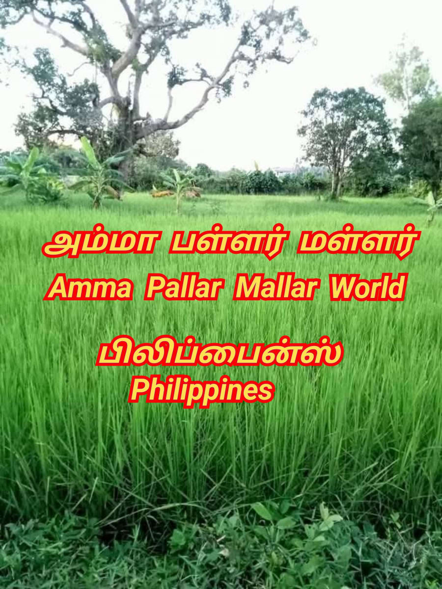 Amma Pallar Mallar World | அம்மா பள்ளர் மள்ளர்