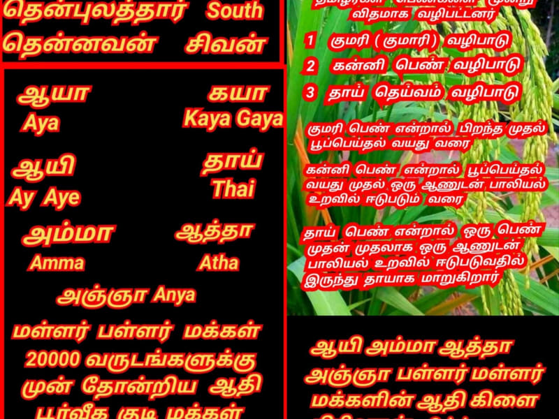 Ay Aya Amma Atha Anya Pallar Mallar World | ஆயி ஆயா அம்மா ஆத்தா அஞ்ஞா பள்ளர் மள்ளர்