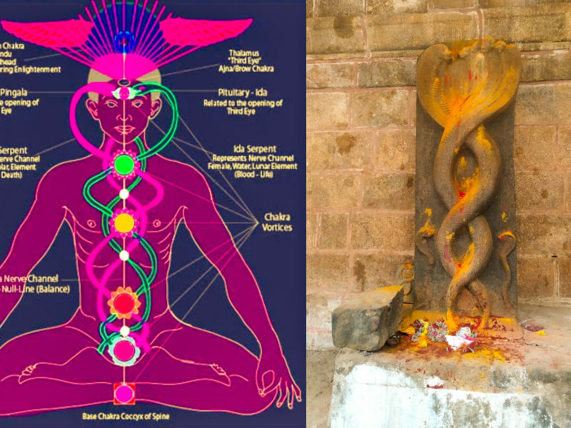 Mukthi Kapalam Mukthi Third Eye Horus SunDisk Siddhar Immortal Pallar Mallar Kapala | முக்தி கபாலம் Mukthi Third Eye Horus SunDisk Siddhar Immortal Pallar Mallar Kapala