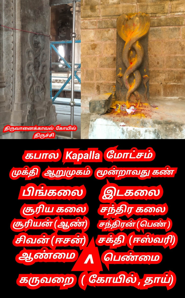 Mukthi Kapalam Mukthi Third Eye Horus SunDisk Siddhar Immortal Pallar Mallar Kapala | முக்தி கபாலம் Mukthi Third Eye Horus SunDisk Siddhar Immortal Pallar Mallar Kapala