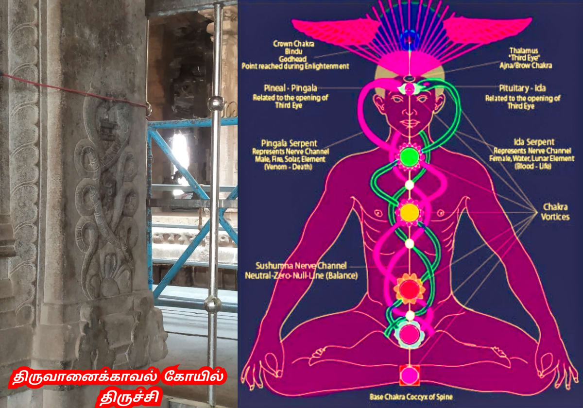 Mukthi Kapalam Mukthi Third Eye Horus SunDisk Siddhar Immortal Pallar Mallar Kapala | முக்தி கபாலம் Mukthi Third Eye Horus SunDisk Siddhar Immortal Pallar Mallar Kapala