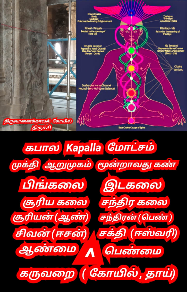 Mukthi Kapalam Mukthi Third Eye Horus SunDisk Siddhar Immortal Pallar Mallar Kapala | முக்தி கபாலம் Mukthi Third Eye Horus SunDisk Siddhar Immortal Pallar Mallar Kapala