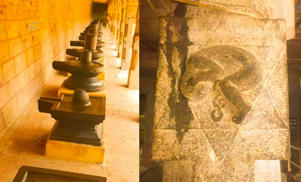 Mukthi Kapalam Mukthi Third Eye Horus SunDisk Siddhar Immortal Pallar Mallar Kapala | முக்தி கபாலம் Mukthi Third Eye Horus SunDisk Siddhar Immortal Pallar Mallar Kapala