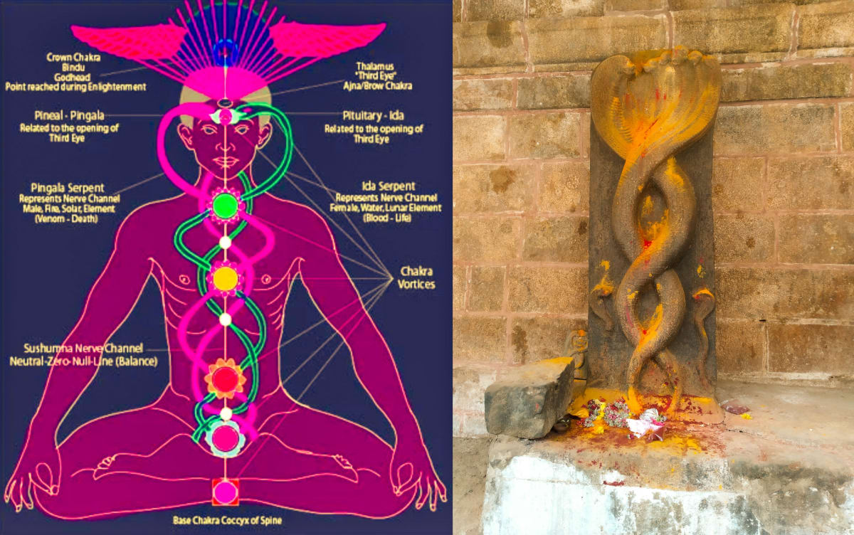Mukthi Kapalam Mukthi Third Eye Horus SunDisk Siddhar Immortal Pallar Mallar Kapala | முக்தி கபாலம் Mukthi Third Eye Horus SunDisk Siddhar Immortal Pallar Mallar Kapala