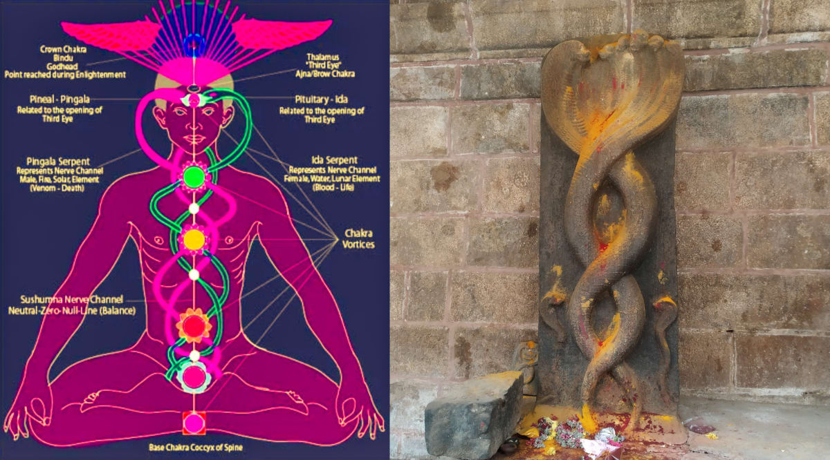Mukthi Kapalam Mukthi Third Eye Horus SunDisk Siddhar Immortal Pallar Mallar Kapala | முக்தி கபாலம் Mukthi Third Eye Horus SunDisk Siddhar Immortal Pallar Mallar Kapala