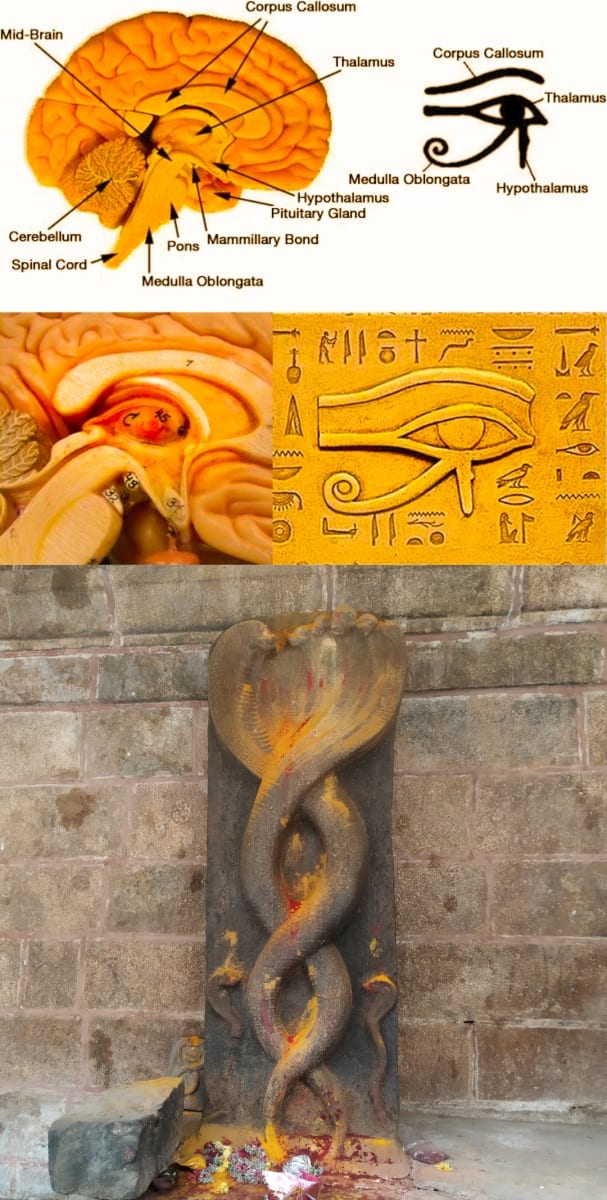 Mukthi Kapalam Mukthi Third Eye Horus SunDisk Siddhar Immortal Pallar Mallar Kapala | முக்தி கபாலம் Mukthi Third Eye Horus SunDisk Siddhar Immortal Pallar Mallar Kapala