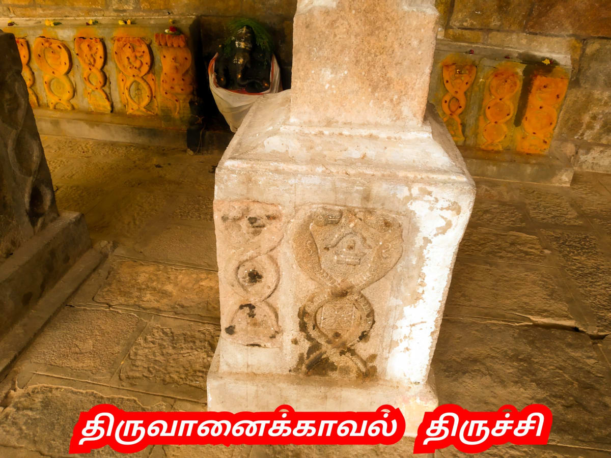 Mukthi Kapalam Mukthi Third Eye Horus SunDisk Siddhar Immortal Pallar Mallar Kapala | முக்தி கபாலம் Mukthi Third Eye Horus SunDisk Siddhar Immortal Pallar Mallar Kapala