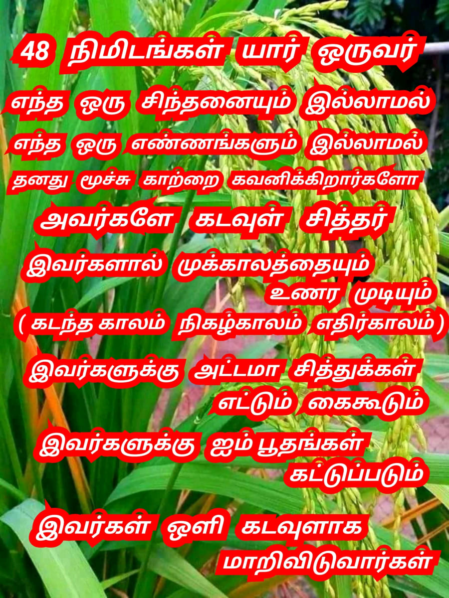 Mukthi Kapalam Mukthi Third Eye Horus SunDisk Siddhar Immortal Pallar Mallar Kapala | முக்தி கபாலம் Mukthi Third Eye Horus SunDisk Siddhar Immortal Pallar Mallar Kapala