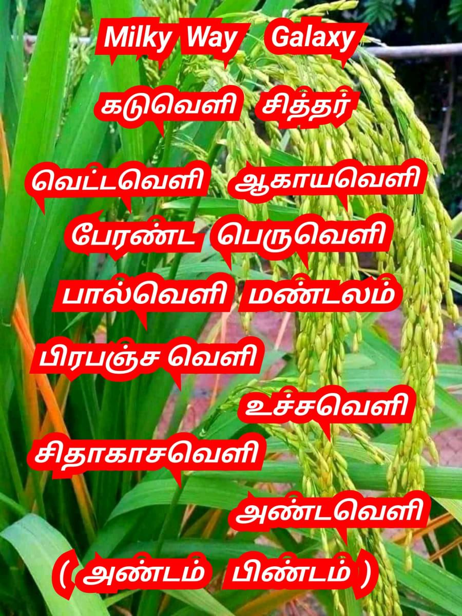 Mukthi Kapalam Mukthi Third Eye Horus SunDisk Siddhar Immortal Pallar Mallar Kapala | முக்தி கபாலம் Mukthi Third Eye Horus SunDisk Siddhar Immortal Pallar Mallar Kapala