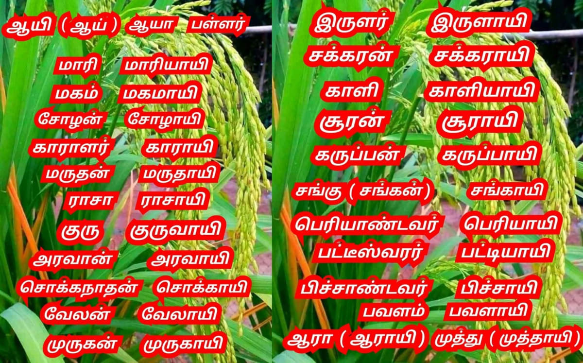 Kadavulkal Peyar God'S Name Murugan Shivan Isan Esan Indra Devendra Thirumal Perumal | கடவுள்கள் பெயர் God's Name Murugan Shivan Isan Esan Indra Devendra Thirumal Perumal