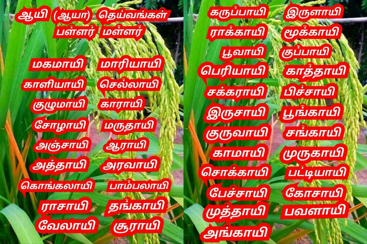 Kadavulkal Peyar God'S Name Murugan Shivan Isan Esan Indra Devendra Thirumal Perumal | கடவுள்கள் பெயர் God's Name Murugan Shivan Isan Esan Indra Devendra Thirumal Perumal