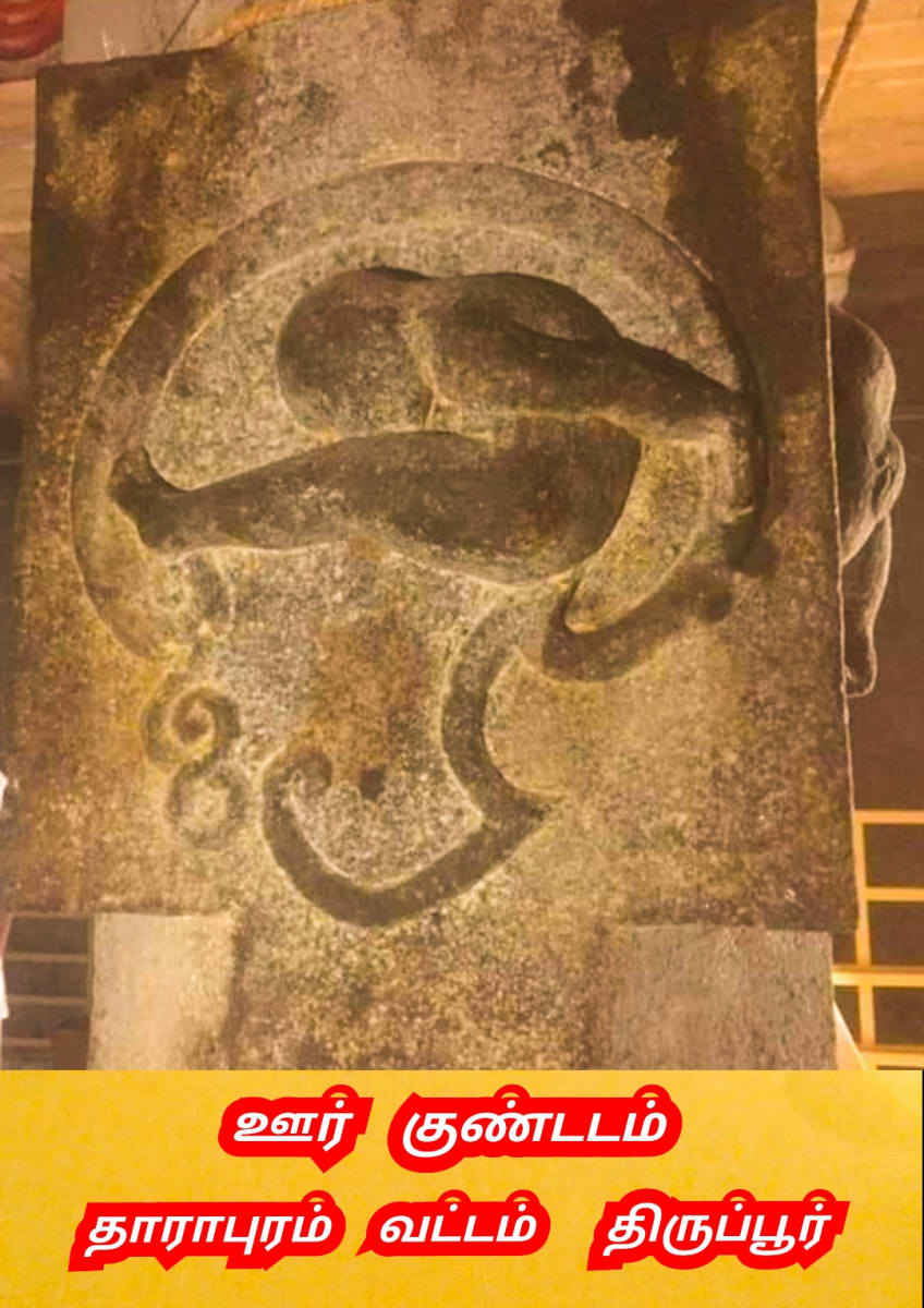 Vel Vinthanu Uyiranu Murukan Vel Sperms Murugan | வேல் விந்தணு உயிரணு முருகன் Vel Sperms Murugan