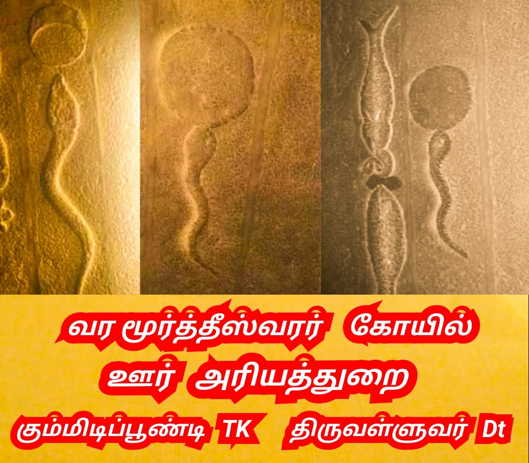 Vel Vinthanu Uyiranu Murukan Vel Sperms Murugan | வேல் விந்தணு உயிரணு முருகன் Vel Sperms Murugan