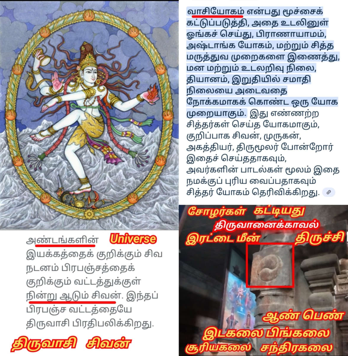 14 Vathu Parimana Sivan Kadavul Pallar Mallar Nirangal Neelam Passai Karuppu Rakasiyam Green Blue Dark | 14 வது பரிமாண சிவன் கடவுள் பள்ளர் மள்ளர் நிறங்கள் நீலம் பச்சை கருப்பு ரகசியம் Green Blue Dark