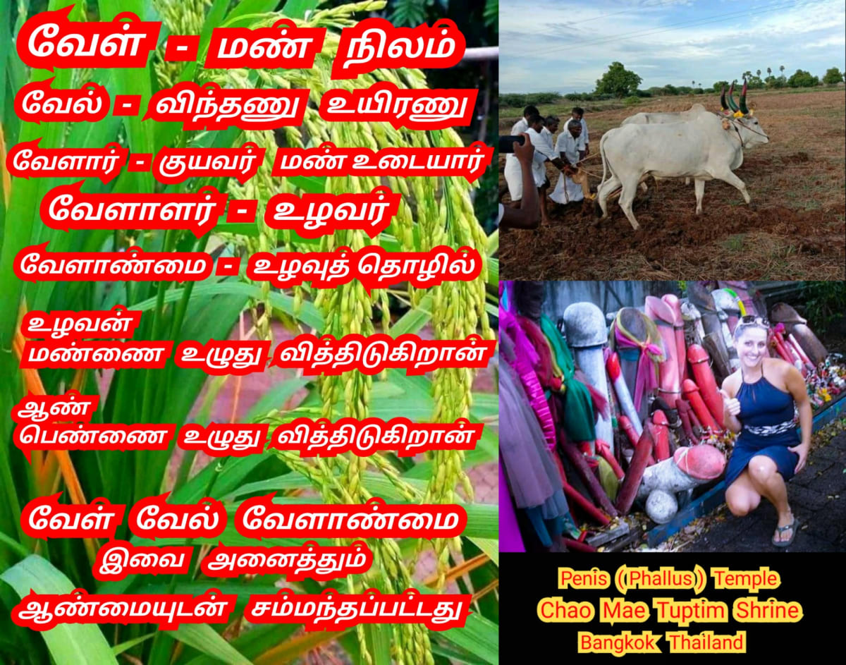 14 Vathu Parimana Sivan Kadavul Pallar Mallar Nirangal Neelam Passai Karuppu Rakasiyam Green Blue Dark | 14 வது பரிமாண சிவன் கடவுள் பள்ளர் மள்ளர் நிறங்கள் நீலம் பச்சை கருப்பு ரகசியம் Green Blue Dark