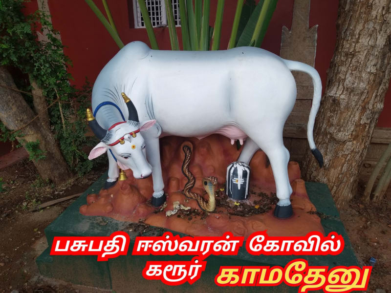 Kamathenu Pasu Sivan Kamadhenu Cow God Shivan Pallar Mallar | காமதேனு பசு சிவன் Kamadhenu cow God Shivan Pallar Mallar