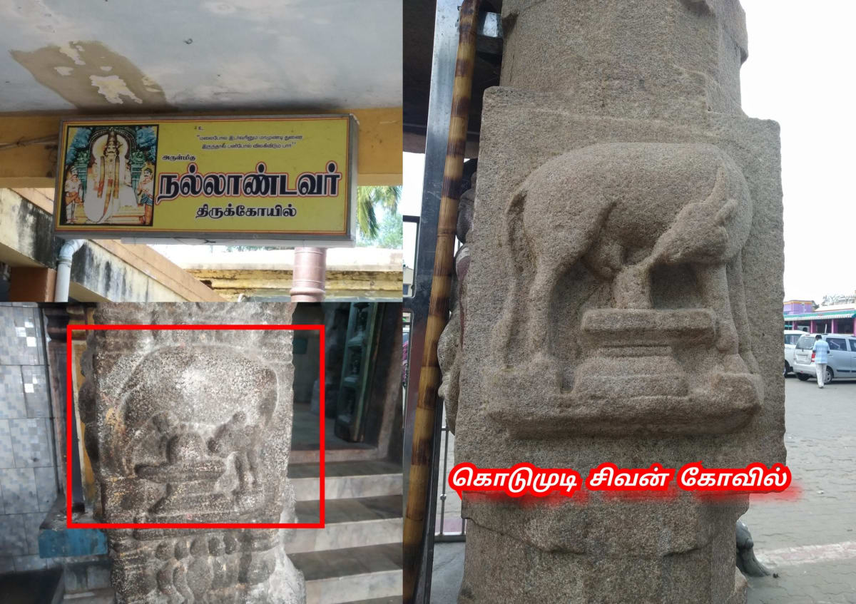 Kamathenu Pasu Sivan Kamadhenu Cow God Shivan Pallar Mallar | காமதேனு பசு சிவன் Kamadhenu cow God Shivan Pallar Mallar