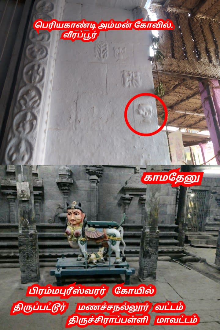 Kamathenu Pasu Sivan Kamadhenu Cow God Shivan Pallar Mallar | காமதேனு பசு சிவன் Kamadhenu cow God Shivan Pallar Mallar