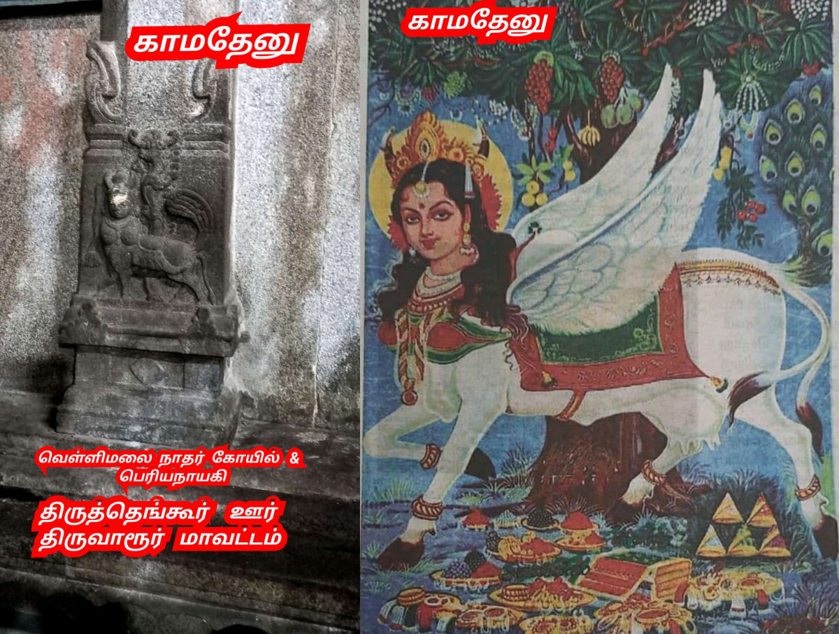 Kamathenu Pasu Sivan Kamadhenu Cow God Shivan Pallar Mallar | காமதேனு பசு சிவன் Kamadhenu cow God Shivan Pallar Mallar