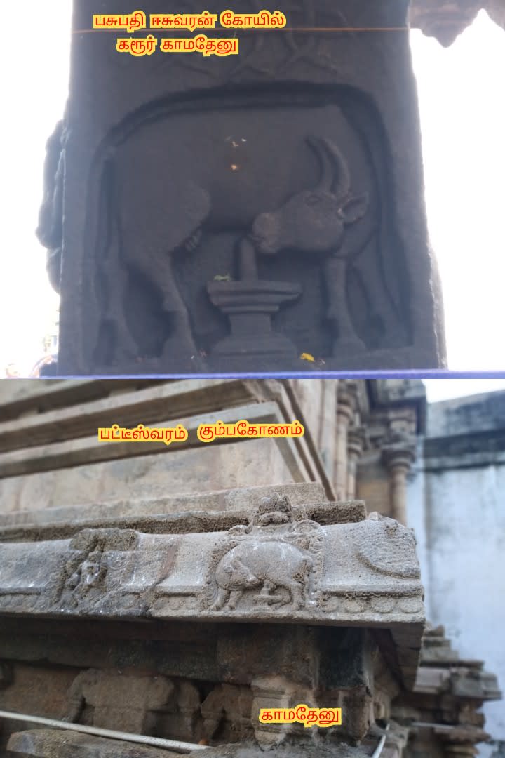 Kamathenu Pasu Sivan Kamadhenu Cow God Shivan Pallar Mallar | காமதேனு பசு சிவன் Kamadhenu cow God Shivan Pallar Mallar