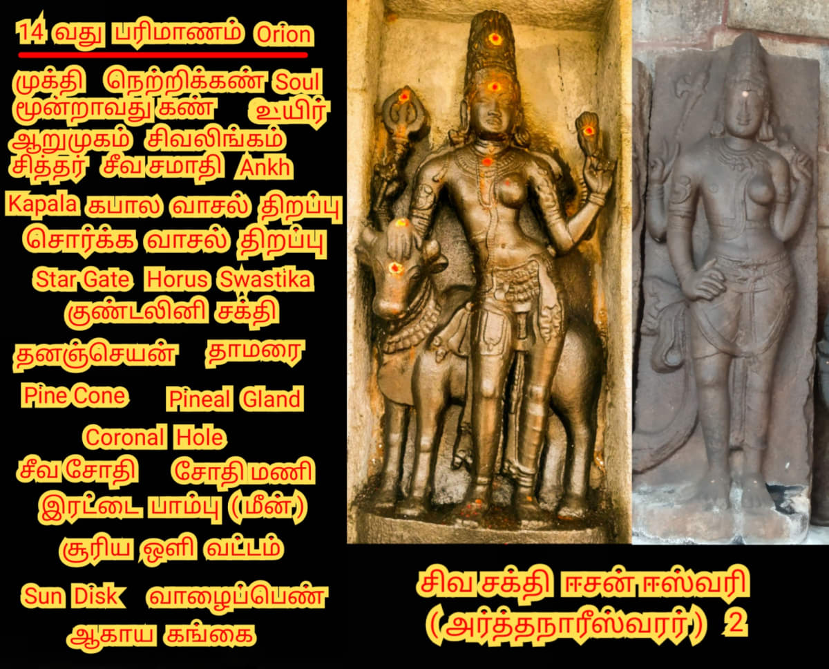 Kamathenu Pasu Sivan Kamadhenu Cow God Shivan Pallar Mallar | காமதேனு பசு சிவன் Kamadhenu cow God Shivan Pallar Mallar