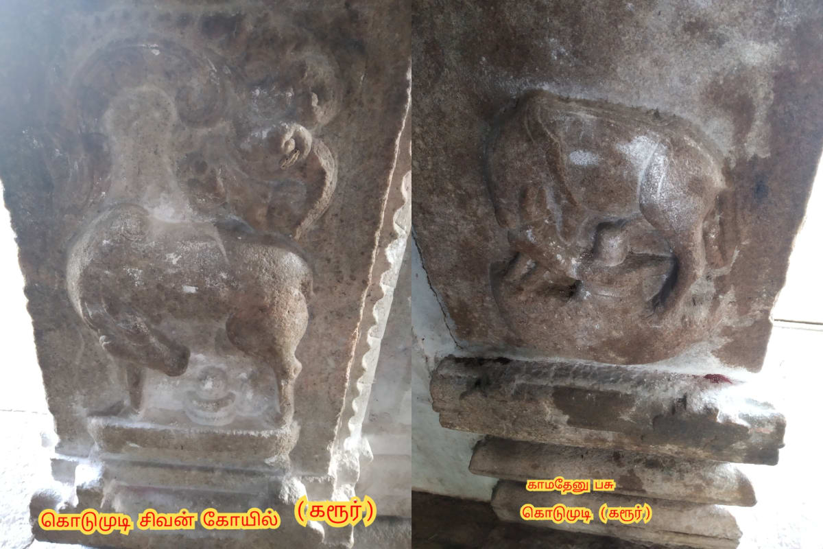 Kamathenu Pasu Sivan Kamadhenu Cow God Shivan Pallar Mallar | காமதேனு பசு சிவன் Kamadhenu cow God Shivan Pallar Mallar