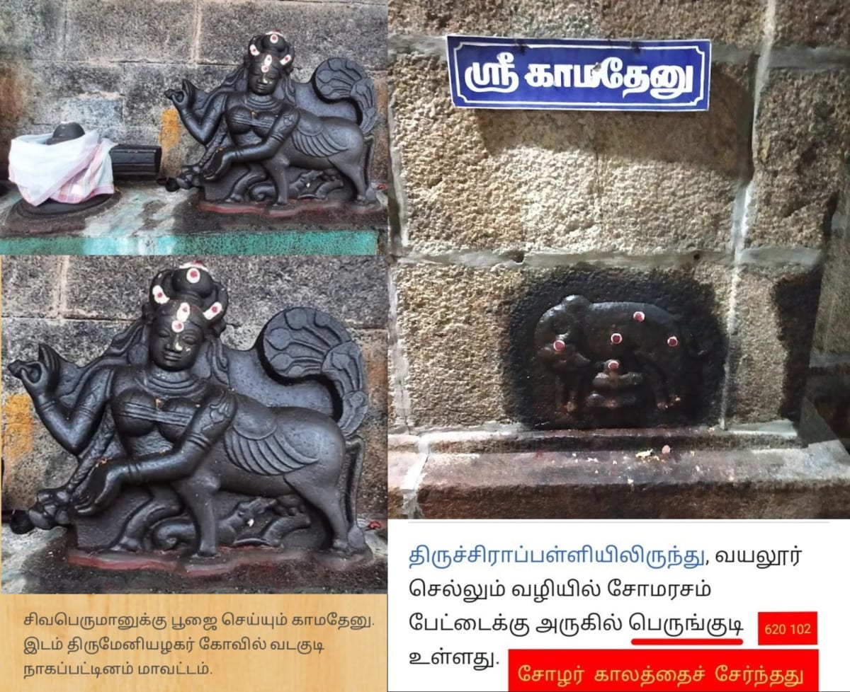 Kamathenu Pasu Sivan Kamadhenu Cow God Shivan Pallar Mallar | காமதேனு பசு சிவன் Kamadhenu cow God Shivan Pallar Mallar