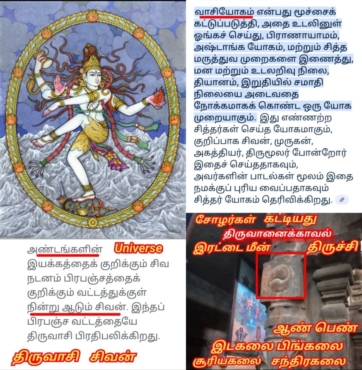Kamathenu Pasu Sivan Kamadhenu Cow God Shivan Pallar Mallar | காமதேனு பசு சிவன் Kamadhenu cow God Shivan Pallar Mallar