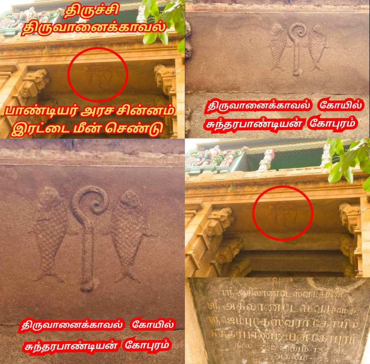 Pandiya Arasa Sinnam Irattai Meen Sengol Kiristhava Matha Pothakarkal Payanpaduthi Varukinranar | பாண்டிய அரச சின்னம் இரட்டை மீன் செங்கோல் கிறிஸ்தவ மத போதகர்கள் பயன்படுத்தி வருகின்றனர்