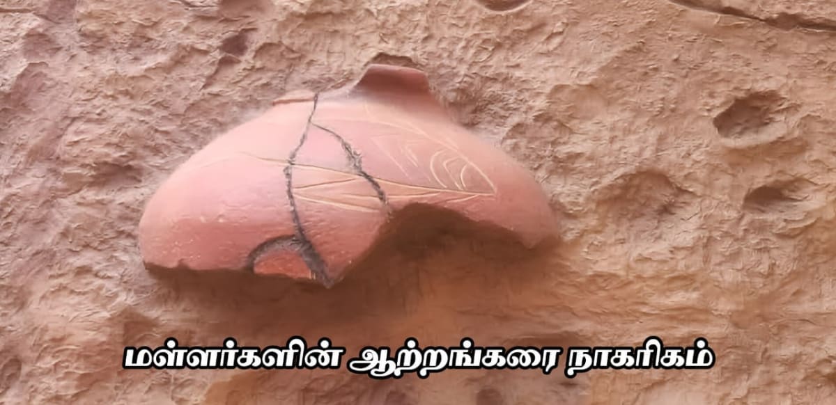 Keeladi | Palla Fish | Pandiyas Fish | Malla Fish | Rivercivilizationtamilnadu | Mallargalin Aatrangarai Nagarigam | River Civilization | Marutham | Devendra Kula Vellalar History | Mallar Riverbank Civilization | Ancient Tamil Agrarian History | Nellu Nagarigam | Pandyan Heritage | மள்ளர்களின் ஆற்றங்கரை நாகரிகம் | மருத நில நாகரிகம் | தேவேந்திர குல வேளாளர் | தமிழ் வரலாறு